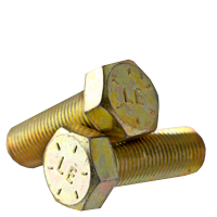 500500668