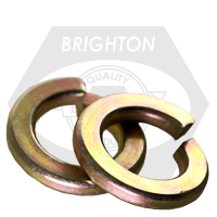 500081609