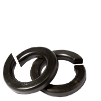 500059040
