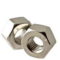 500081558